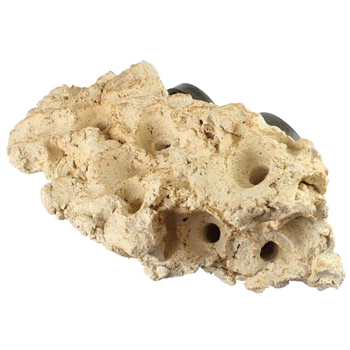Tunze coral rack - tunze, long